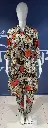2442.webp