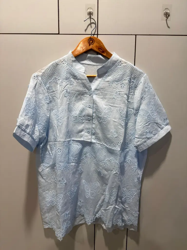 Powder Blue Butterfly Schiffli Embroidered Free Size Long Linen Top