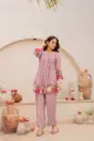 Blush Bloom Chanderi Co-Ord Set