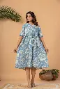 Sky Bloom Cotton Dress